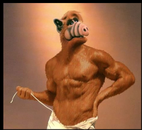 uh58913,1261328458,sexy-alf.jpg