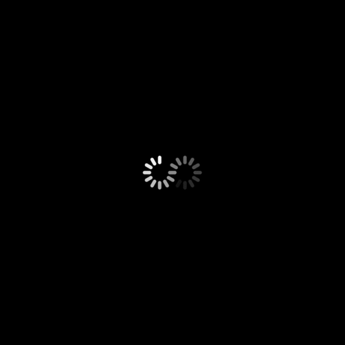 tumblr_mak8sbMQ3u1rse1ipo1_500.gif