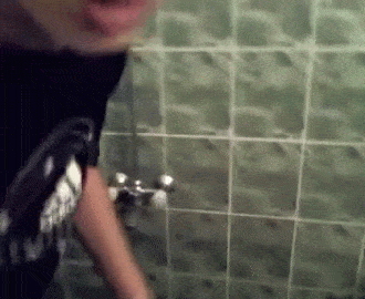 2f2107b9c741b9c3.gif