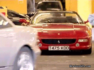 giphy.gif