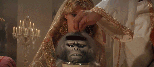 c40783381033d7fc.gif