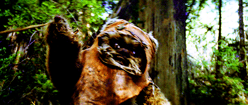 1351e8257a4addb3.gif