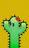 Cactus_Bounce_by_ciro_shetta.gif