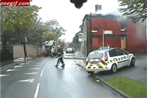 cf618e67d34cdc9e.gif