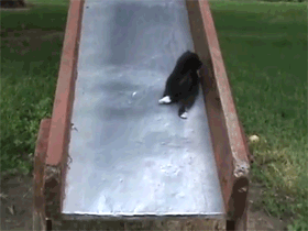 8438ec8a75242971.gif
