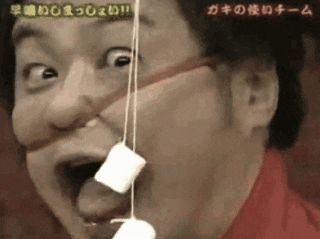 giphy.gif