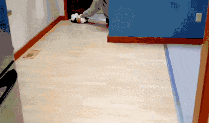 e633dcb55f8b2ff0.gif