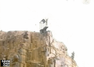 12eb1210aac7f0ee.gif