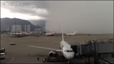 50f414112492a57d.gif