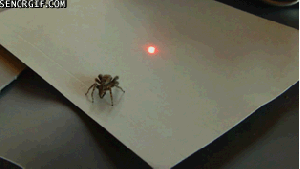 c8d2baa9164b6c49.gif