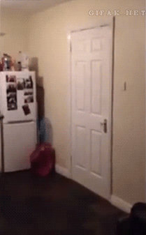b91b26c513fd6f0f.gif
