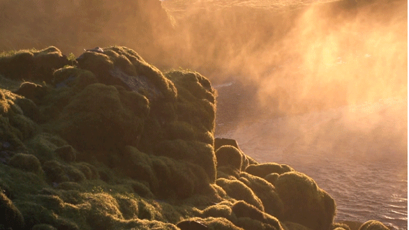 cb75b59e71f1b08c.gif