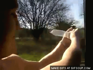 condom-out-window-o.gif