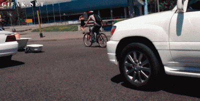 83444546.gif