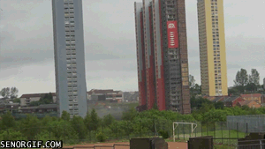 e4a9ec53bd019d0c.gif