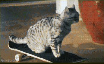 0f118cecd79bb798.gif