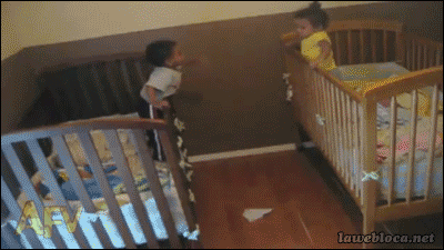 fbade8f31e03dc88.gif