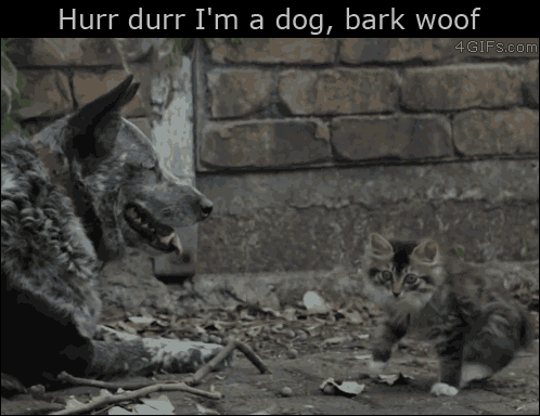 bdc8f14bc1c42e45.gif