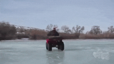 84fbca8eb721d451.gif