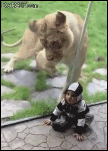 1374912025375.gif