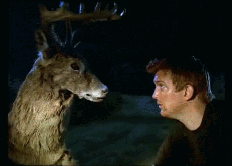 fb824bd14962b452.gif