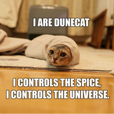 cat-dunecat-lg.jpg