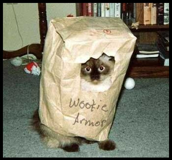 wookiearmor.jpg