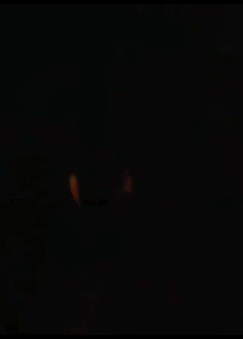 f82a852e24ea148d.gif