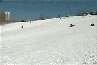 1232625352_reporter%20gets%20owned%20by%20sled.gif