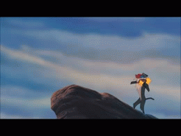 q4yv4u8j.gif