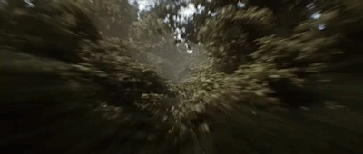 e3685dbe7d7445d6.gif