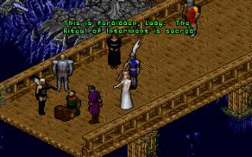 ultima_8_1.jpg