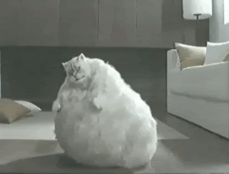 1d7d410aa52b967f.gif