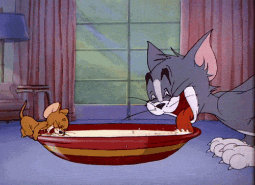 889c2c2d23c7084c.gif