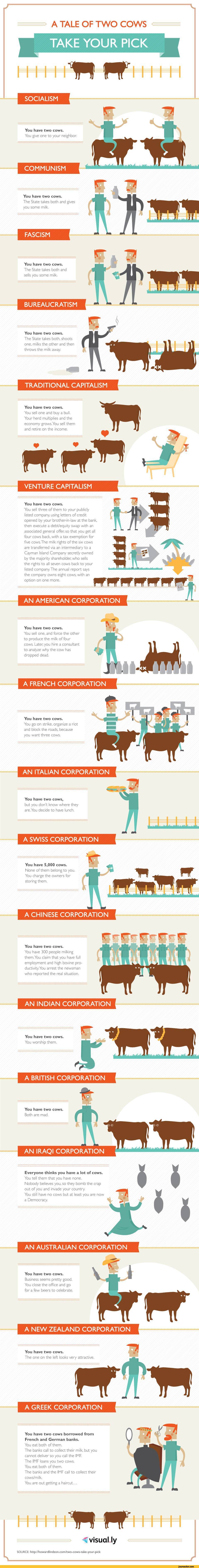 ideologies-cows-infographics-informative-1989457.jpeg