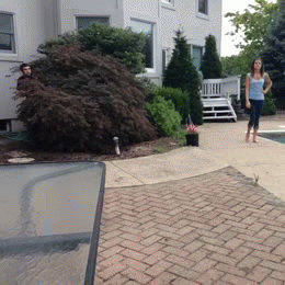 friday-gifdump-1113-12.gif