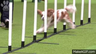 48b5a92f01f6c57d.gif