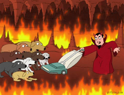 dbf9dd58de885525.gif