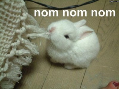 nom-nom-nom1.jpg
