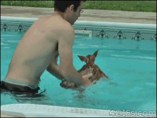 a1431c27bc167f93.gif