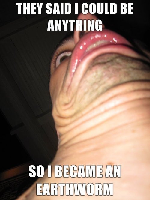 tumblr_l9ukj6VOA11qb6e7xo1_500.jpg
