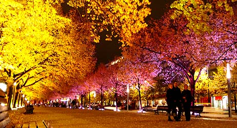 festival_of_lights_unterdenlinden1.jpg