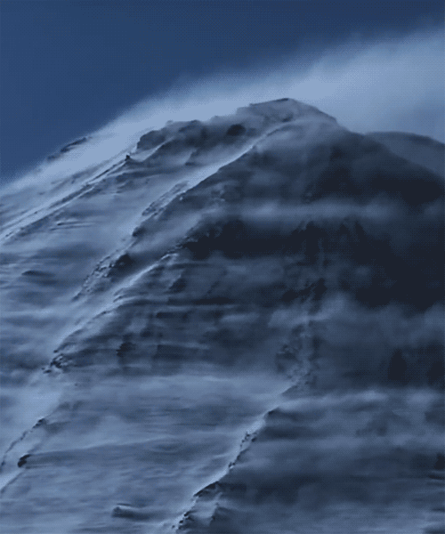5fe27238c934fdc6.gif