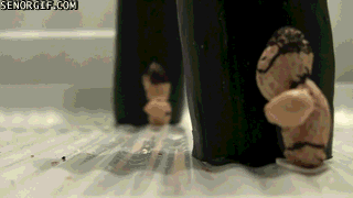 giphy.gif