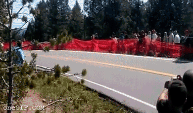 7433ce64784e3288.gif