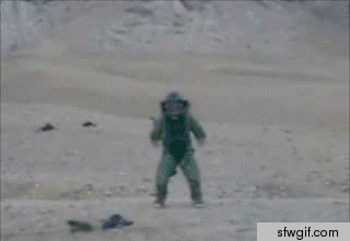 1354184631261.gif