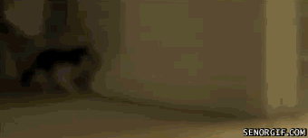 a45e39f3e915a73c.gif