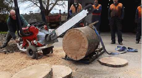2420a1e3e1dc0921.gif