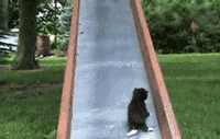 aehvy.gif