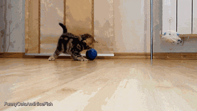 a545bdaa951cc1fb.gif